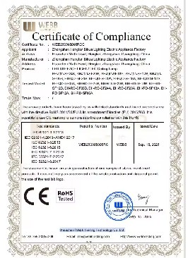 WEB250908006RCC
