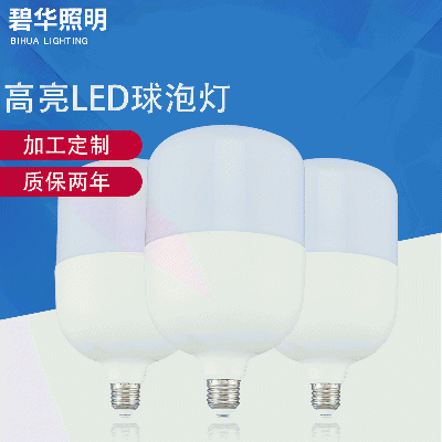 Highlight LED bulb light