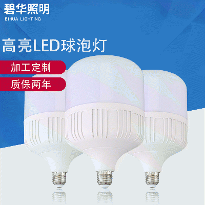 Highlight LED bulb light