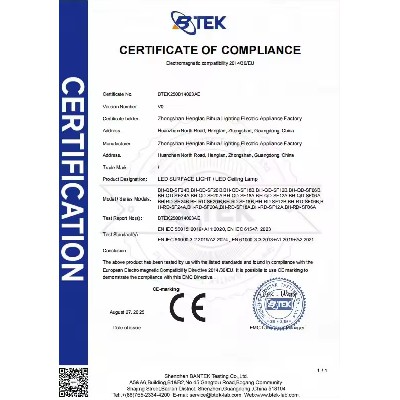 BTEK250814003AE