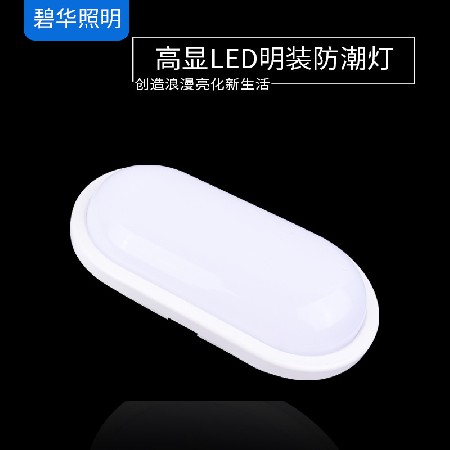 High display LED surface mounted moisture-proof lamp