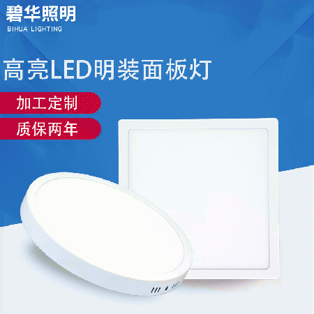 Bright LED surface mounted panel light