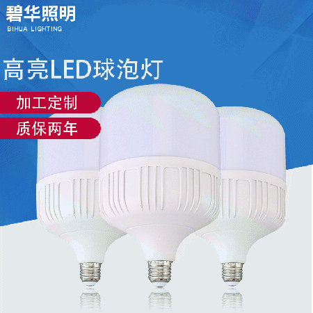 Highlight LED bulb light