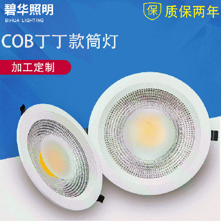 COB Tintin downlight